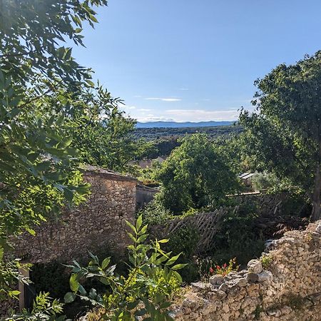 Appartement 1 Chambre, 55M2 - Maison De Village De Charme 17Eme Siecle - Garrigue Heraultaise Argelliers エクステリア 写真
